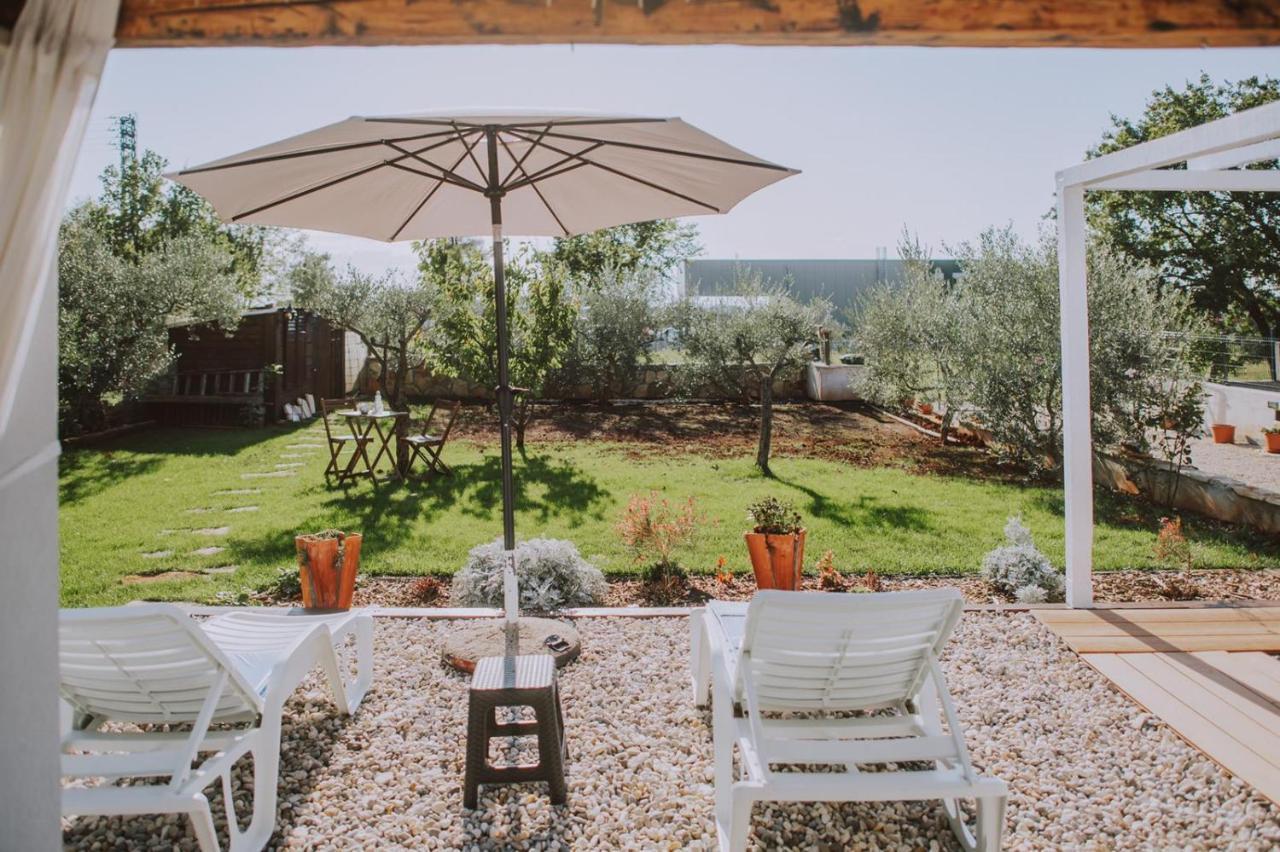 Villa Molo Novigrad  Екстер'єр фото