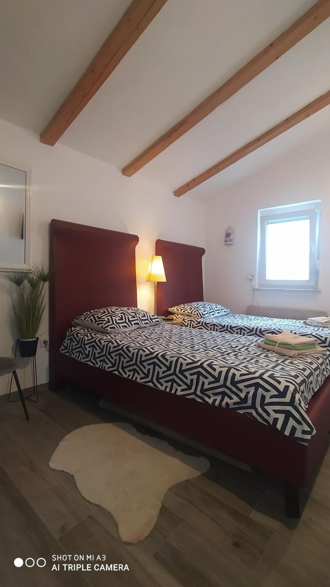 Villa Molo Novigrad  Екстер'єр фото
